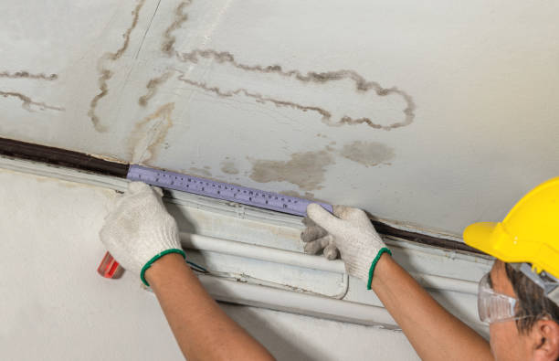 Affordable Water Damage Repair solutions in Shenandoah, LA
